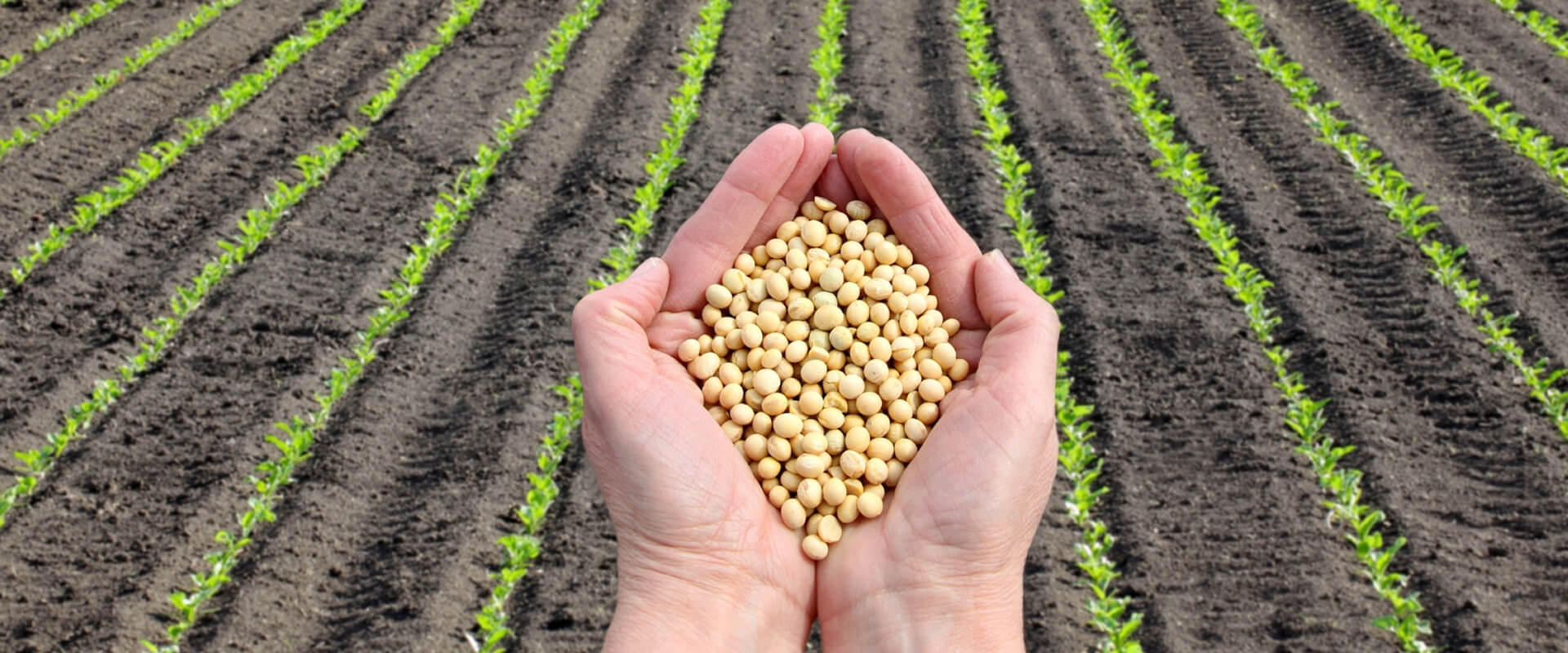 Home Slide 1 Home Slide 1