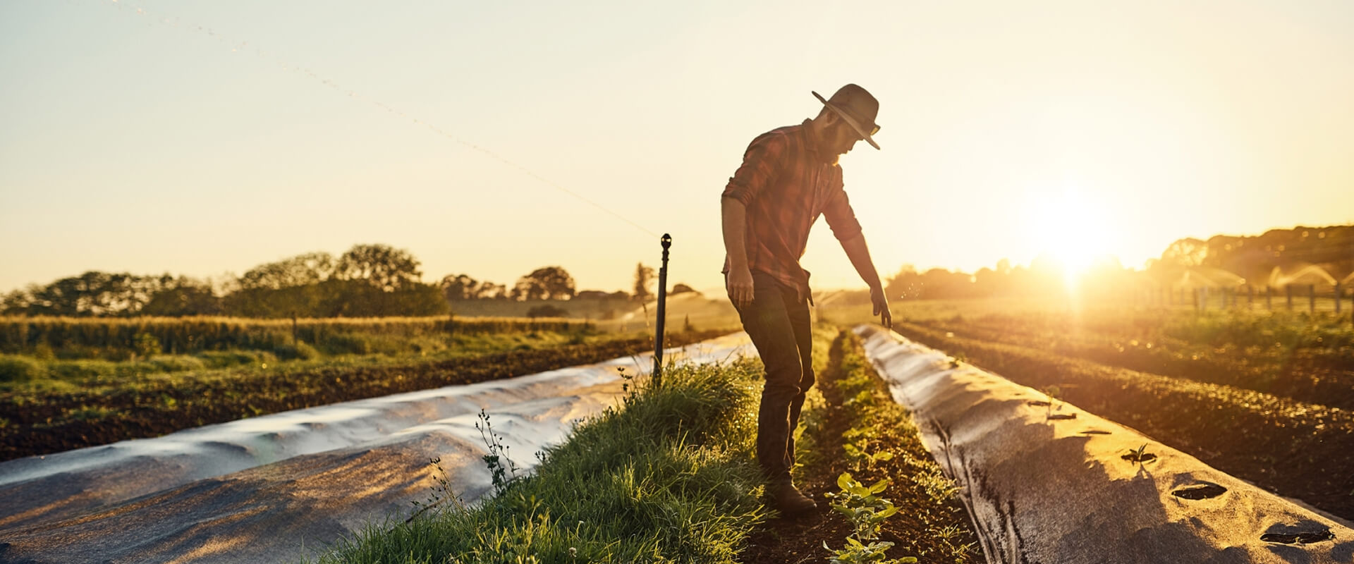 Home Slide 3 Home Slide 3