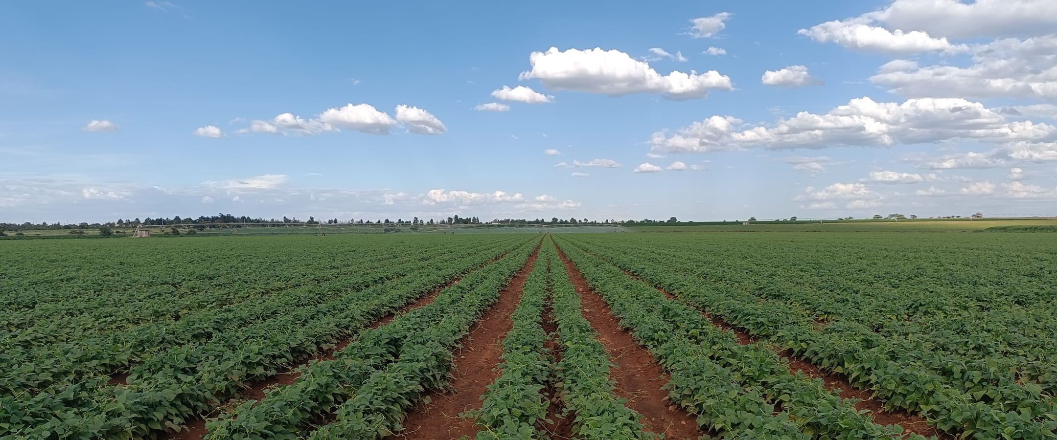 bg nosotros slider2 consede